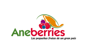 aneberries